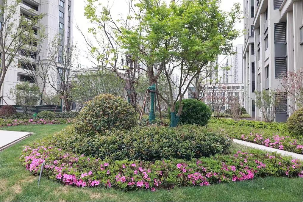 交通便当、、、配套齐全，，，824套包管房即将交付！！