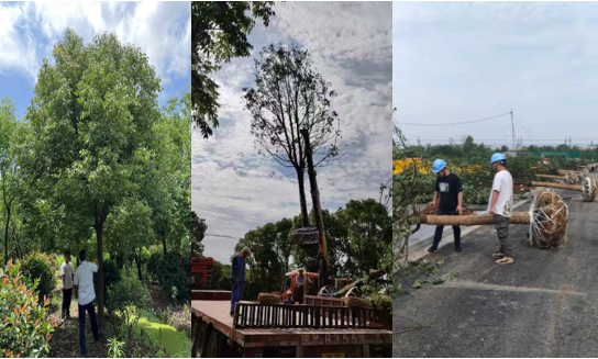 完工！盘城2号地块配套蹊径秀出新高度